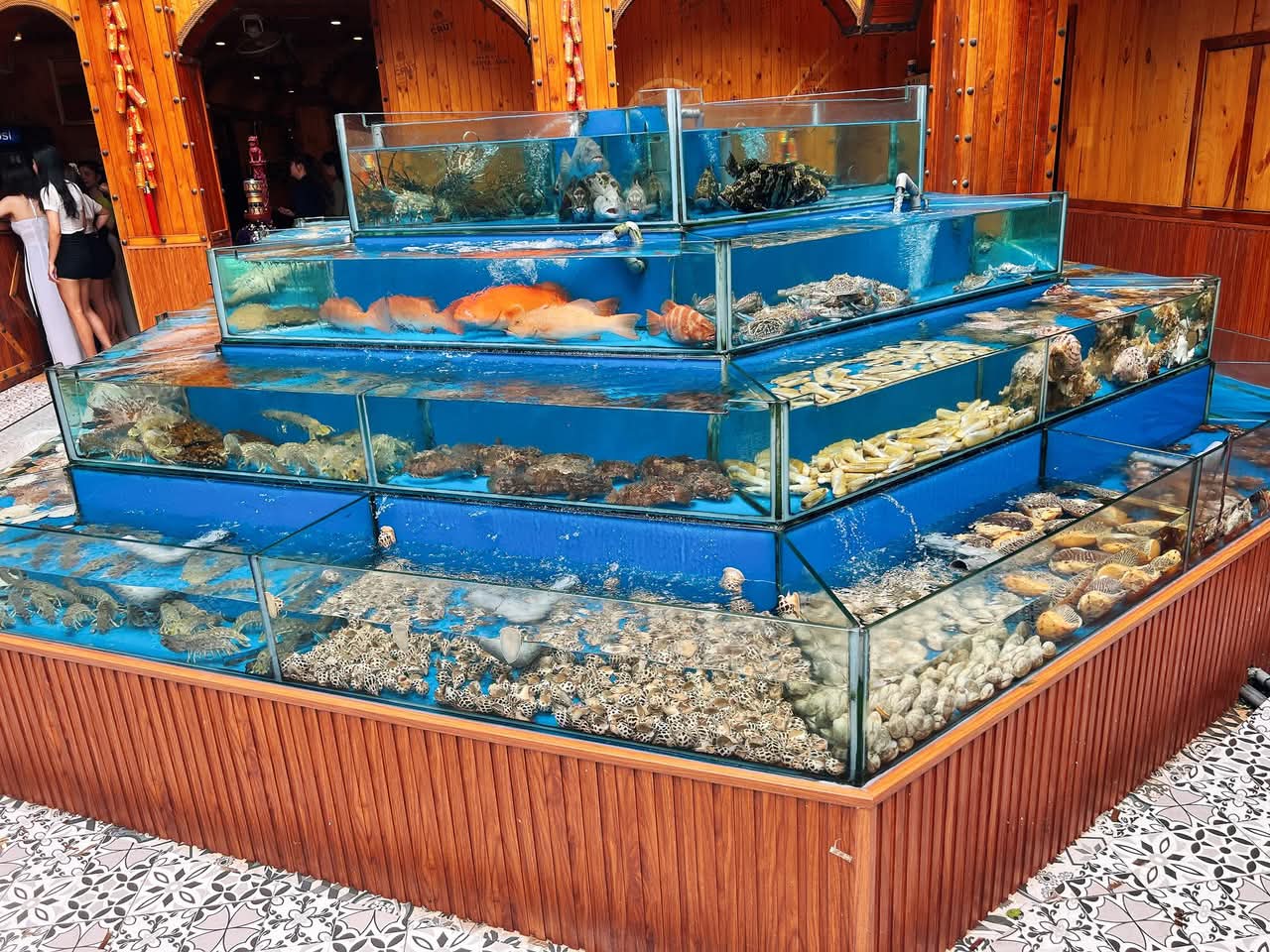 胡志明高级残废餐实拍